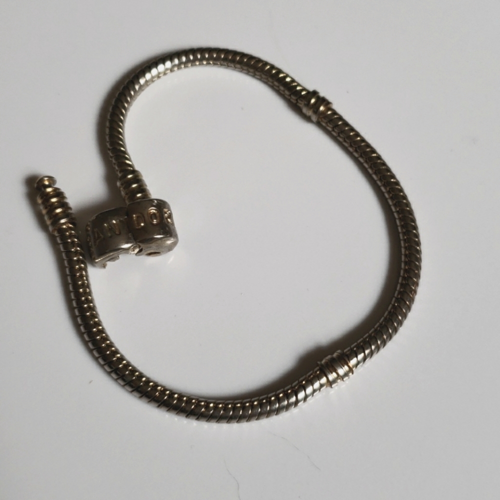 Pandora Charm bracelet